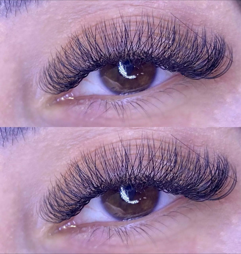 Cílios em W 3D e 4D Wendy Lashes Volume Egípcio
